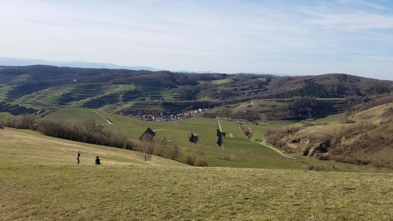 Ferienwohnung Sonnenschein Rheinhausen Kültér fotó