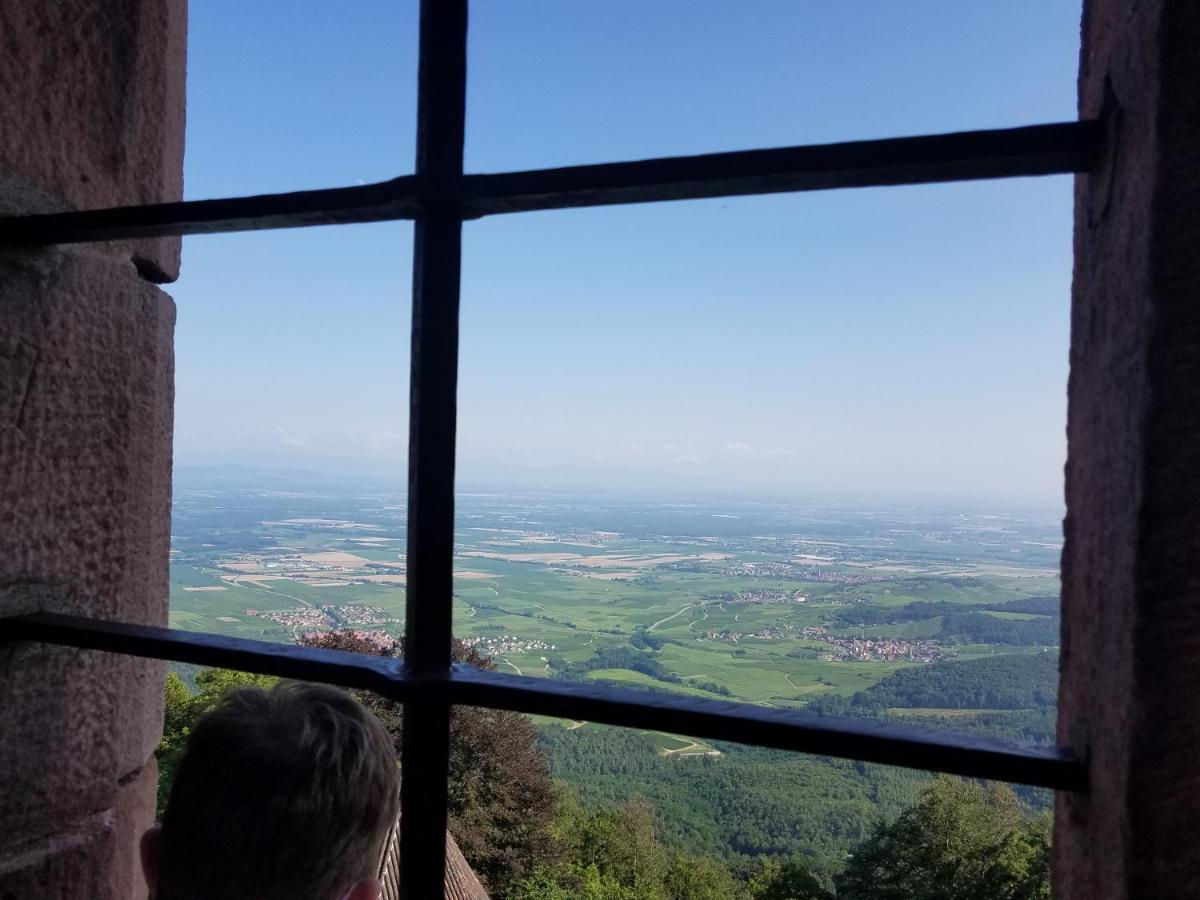 Ferienwohnung Sonnenschein Rheinhausen Kültér fotó