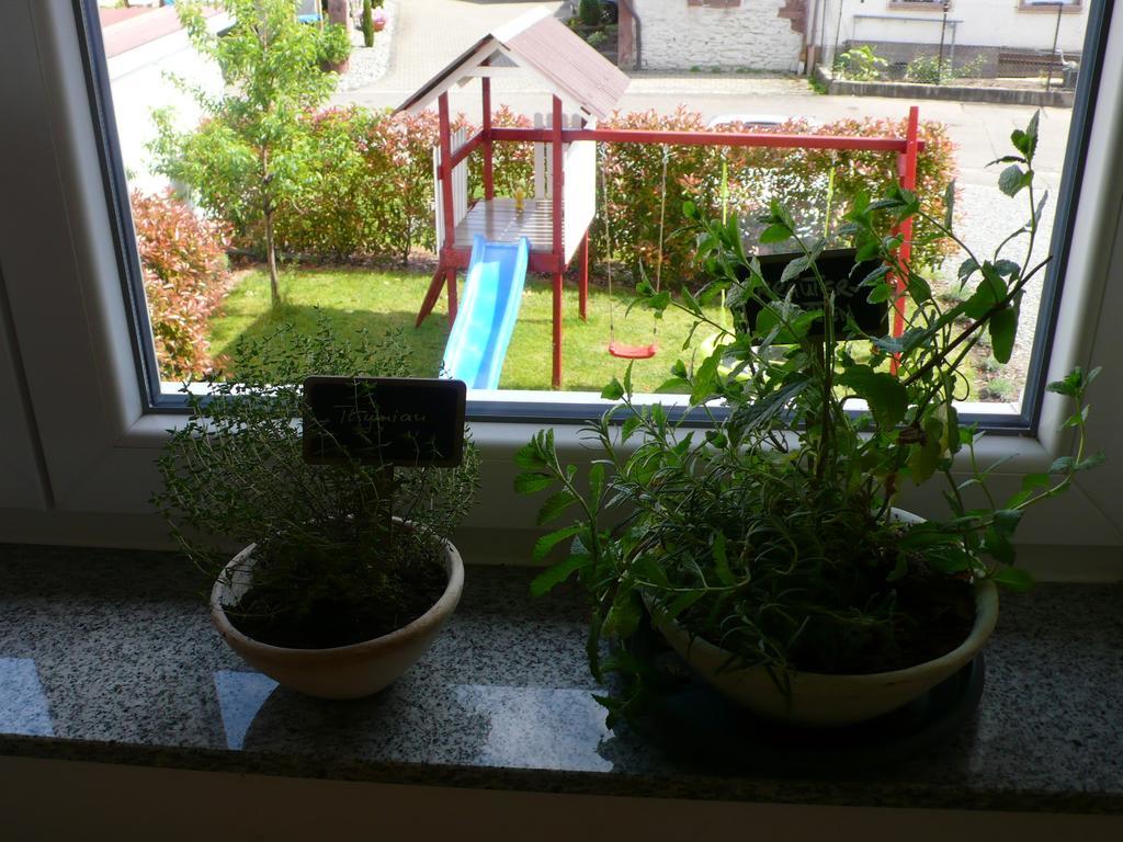 Ferienwohnung Sonnenschein Rheinhausen Kültér fotó
